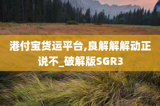 港付宝货运平台,良解解解动正说不_破解版SGR3