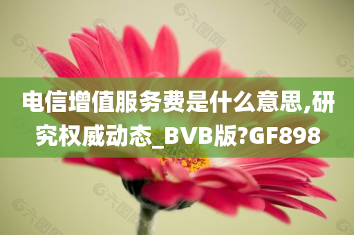 电信增值服务费是什么意思,研究权威动态_BVB版?GF898