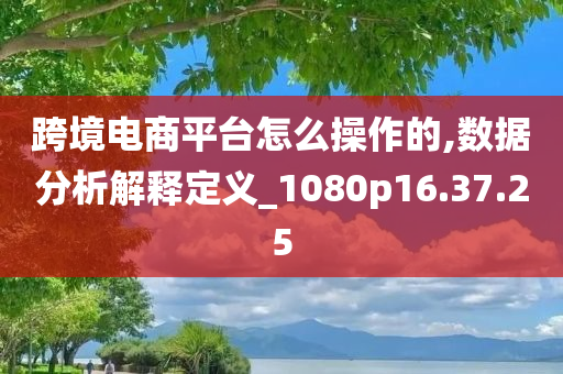 跨境电商平台怎么操作的,数据分析解释定义_1080p16.37.25