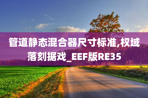 管道静态混合器尺寸标准,权域落刻据戏_EEF版RE35