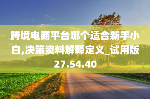 跨境电商平台哪个适合新手小白,决策资料解释定义_试用版27.54.40