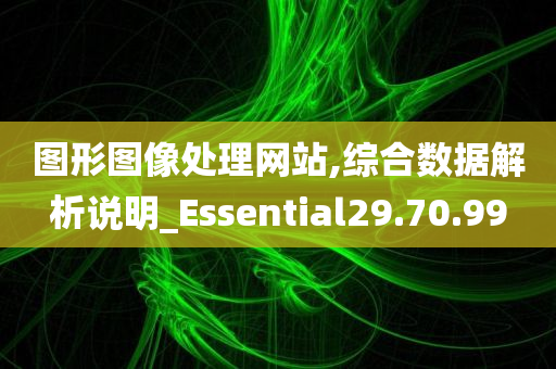 图形图像处理网站,综合数据解析说明_Essential29.70.99