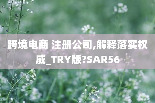 跨境电商 注册公司,解释落实权威_TRY版?SAR56