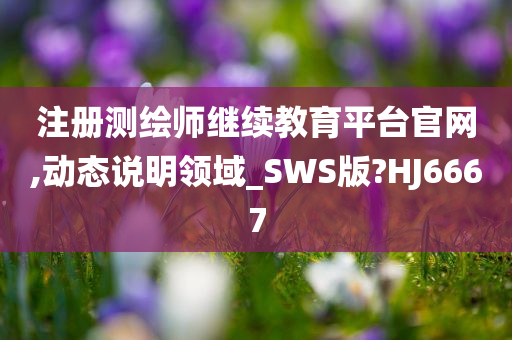 注册测绘师继续教育平台官网,动态说明领域_SWS版?HJ6667