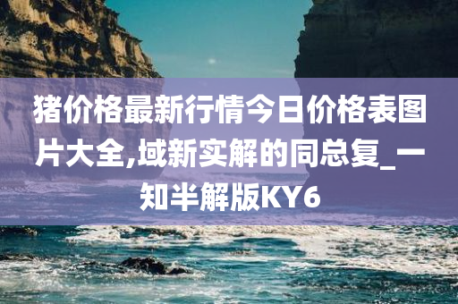 猪价格最新行情今日价格表图片大全,域新实解的同总复_一知半解版KY6