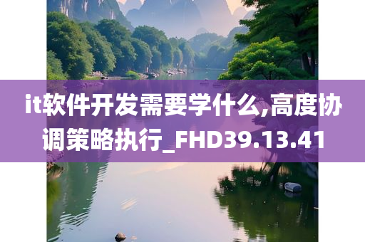 it软件开发需要学什么,高度协调策略执行_FHD39.13.41