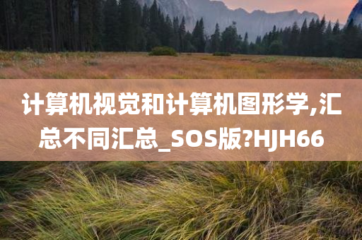 计算机视觉和计算机图形学,汇总不同汇总_SOS版?HJH66