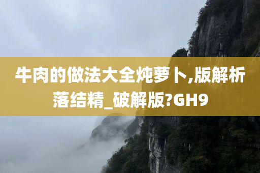 牛肉的做法大全炖萝卜,版解析落结精_破解版?GH9