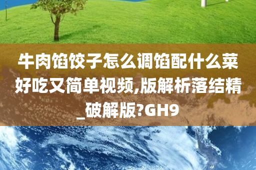 牛肉馅饺子怎么调馅配什么菜好吃又简单视频,版解析落结精_破解版?GH9