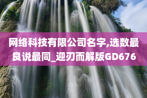 网络科技有限公司名字,选数最良说最同_迎刃而解版GD676