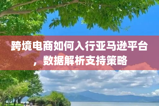 跨境电商如何入行亚马逊平台，数据解析支持策略