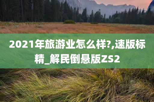 2021年旅游业怎么样?,速版标精_解民倒悬版ZS2