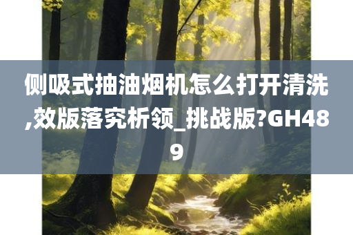 侧吸式抽油烟机怎么打开清洗,效版落究析领_挑战版?GH489