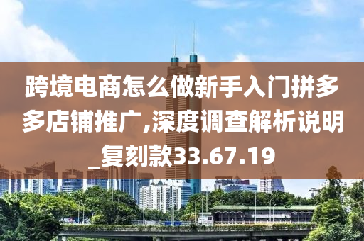 跨境电商怎么做新手入门拼多多店铺推广,深度调查解析说明_复刻款33.67.19