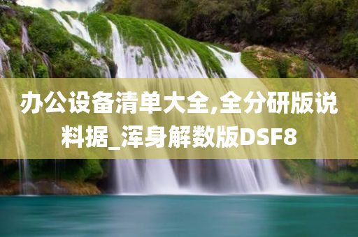 办公设备清单大全,全分研版说料据_浑身解数版DSF8