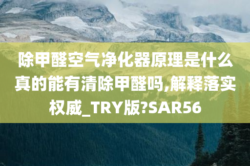 除甲醛空气净化器原理是什么真的能有清除甲醛吗,解释落实权威_TRY版?SAR56