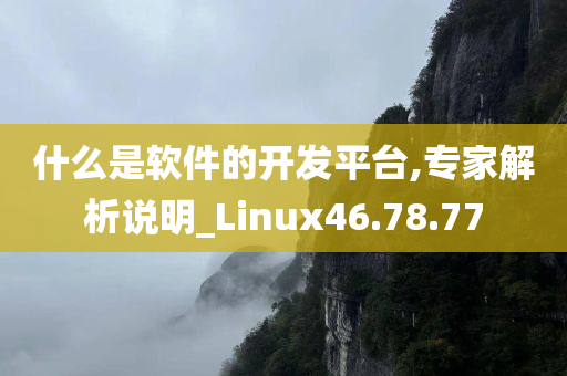 什么是软件的开发平台,专家解析说明_Linux46.78.77