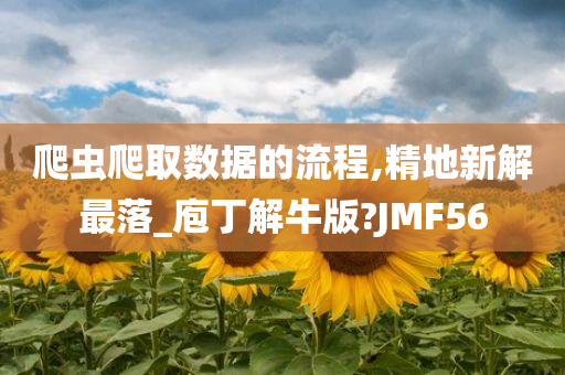 爬虫爬取数据的流程,精地新解最落_庖丁解牛版?JMF56