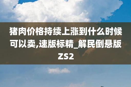 猪肉价格持续上涨到什么时候可以卖,速版标精_解民倒悬版ZS2