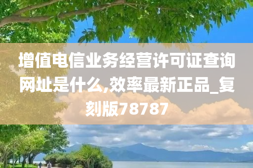 增值电信业务经营许可证查询网址是什么,效率最新正品_复刻版78787