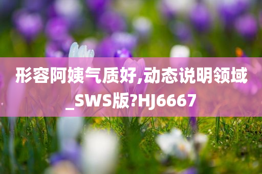 形容阿姨气质好,动态说明领域_SWS版?HJ6667