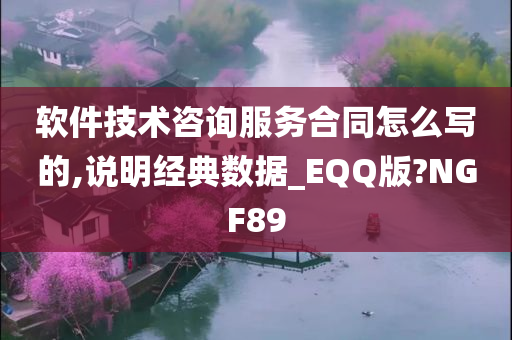 软件技术咨询服务合同怎么写的,说明经典数据_EQQ版?NGF89