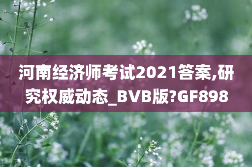 河南经济师考试2021答案,研究权威动态_BVB版?GF898