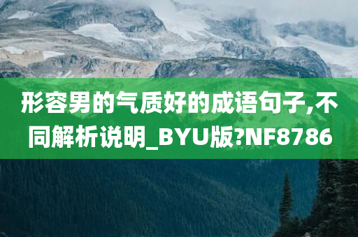 形容男的气质好的成语句子,不同解析说明_BYU版?NF8786