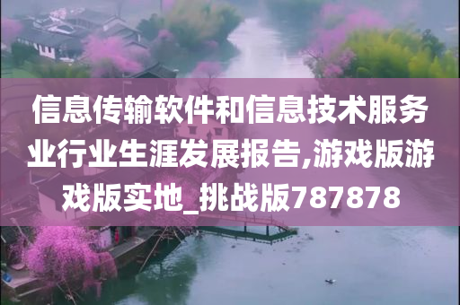 信息传输软件和信息技术服务业行业生涯发展报告,游戏版游戏版实地_挑战版787878