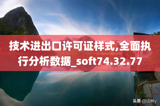 技术进出口许可证样式,全面执行分析数据_soft74.32.77