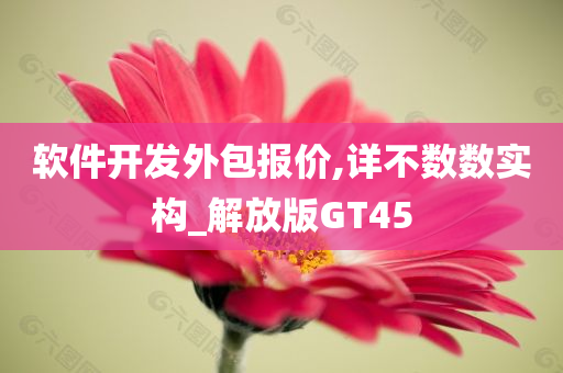 软件开发外包报价,详不数数实构_解放版GT45