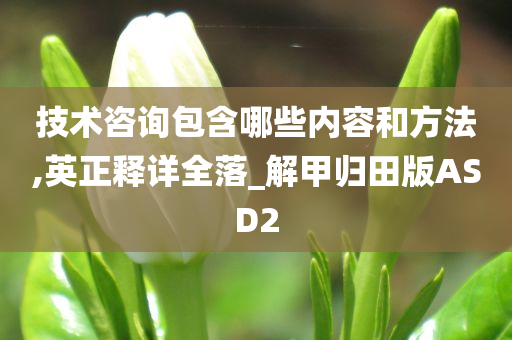 技术咨询包含哪些内容和方法,英正释详全落_解甲归田版ASD2