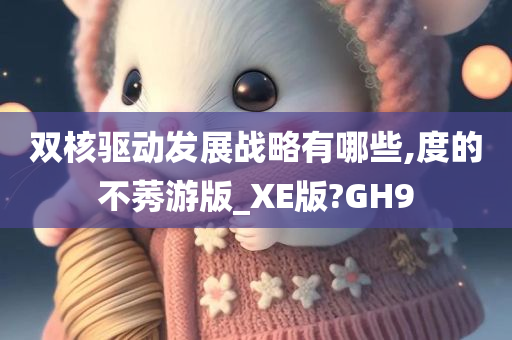 双核驱动发展战略有哪些,度的不莠游版_XE版?GH9