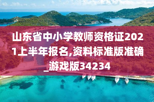 山东省中小学教师资格证2021上半年报名,资料标准版准确_游戏版34234