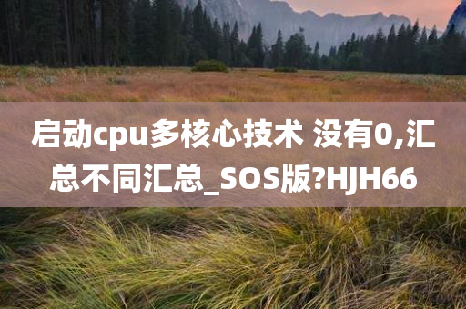 启动cpu多核心技术 没有0,汇总不同汇总_SOS版?HJH66