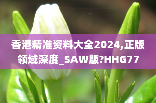 香港精准资料大全2024,正版领域深度_SAW版?HHG77