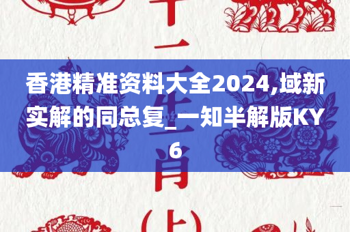 香港精准资料大全2024,域新实解的同总复_一知半解版KY6