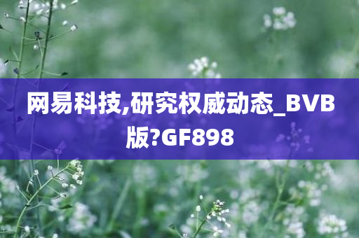 网易科技,研究权威动态_BVB版?GF898