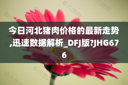 今日河北猪肉价格的最新走势,迅速数据解析_DFJ版?JHG676