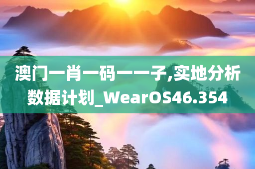 澳门一肖一码一一子,实地分析数据计划_WearOS46.354