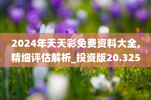 2024年天天彩免费资料大全,精细评估解析_投资版20.325