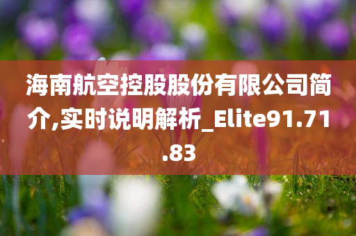 海南航空控股股份有限公司简介,实时说明解析_Elite91.71.83