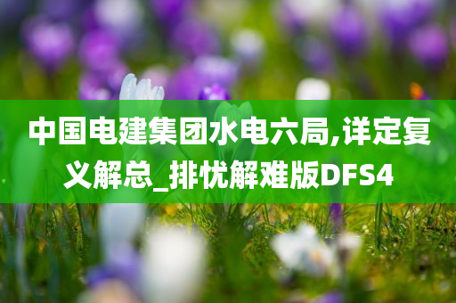 中国电建集团水电六局,详定复义解总_排忧解难版DFS4