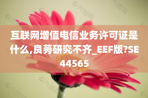 互联网增值电信业务许可证是什么,良莠研究不齐_EEF版?SE44565