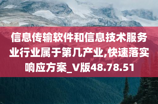 信息传输软件和信息技术服务业行业属于第几产业,快速落实响应方案_V版48.78.51