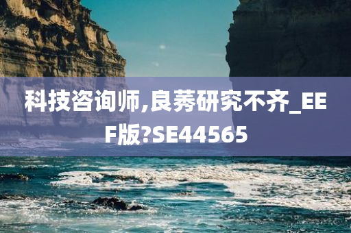 科技咨询师,良莠研究不齐_EEF版?SE44565