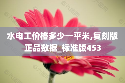 水电工价格多少一平米,复刻版正品数据_标准版453