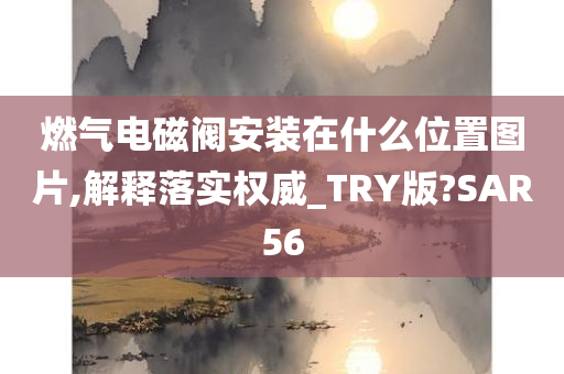 燃气电磁阀安装在什么位置图片,解释落实权威_TRY版?SAR56