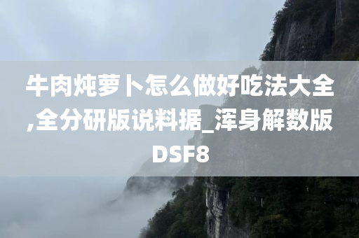 牛肉炖萝卜怎么做好吃法大全,全分研版说料据_浑身解数版DSF8