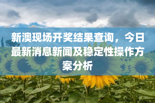 新澳现场开奖结果查询，今日最新消息新闻及稳定性操作方案分析